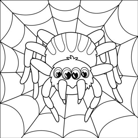 Spider coloring pages for adults Weirs beach webcam