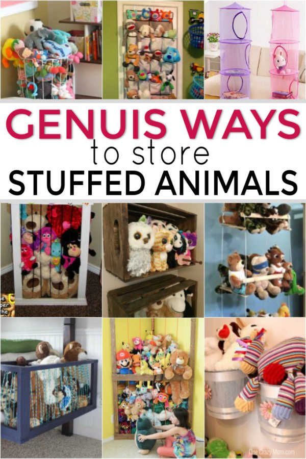 Stuffed animal storage ideas for adults Softcore porn full movies