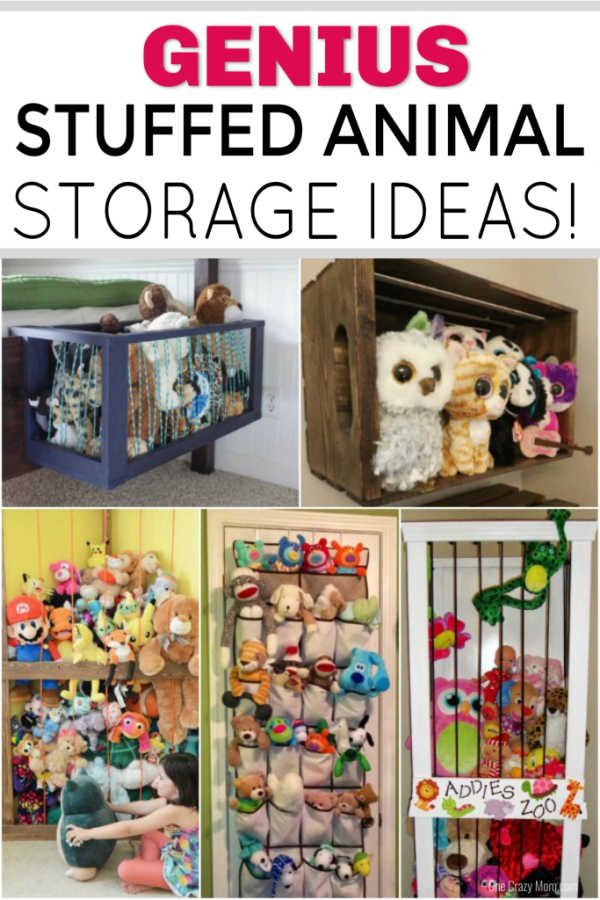Stuffed animal storage ideas for adults Anal addiction