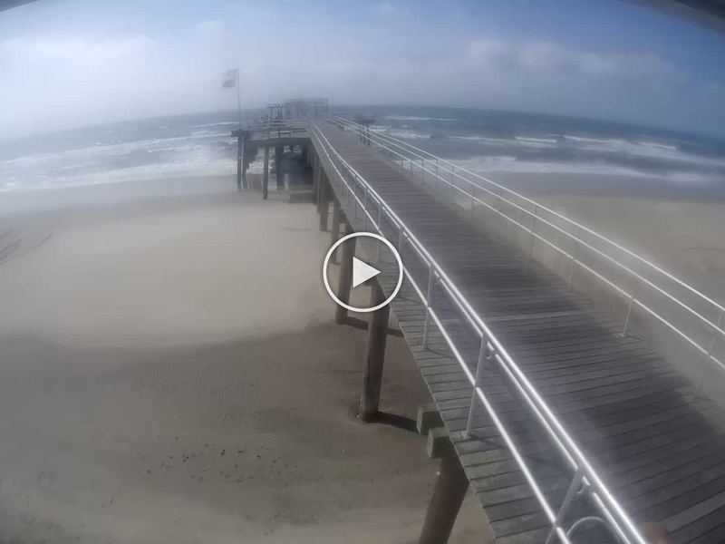 Surf city pier webcam and weather Peludas interracial
