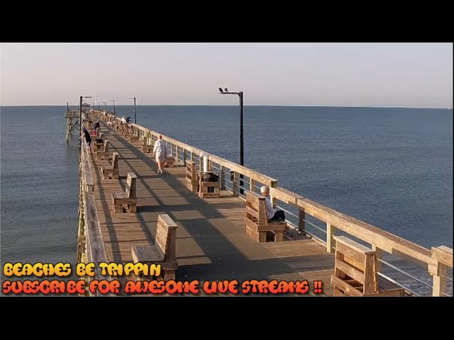 Surf city pier webcam and weather Best mom anal