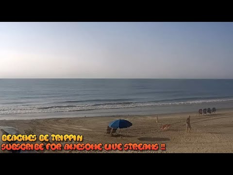 Surfside beach live webcam Captain hardcore lovense