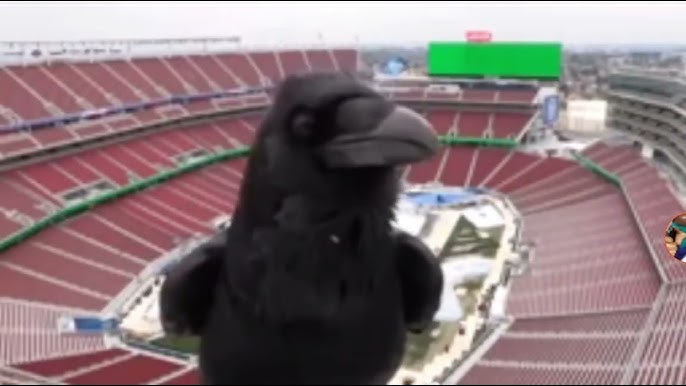 The raven webcam Motherless porn gifs