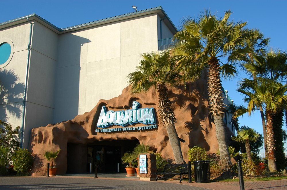 Things to do in kemah for adults Missmeforever anal