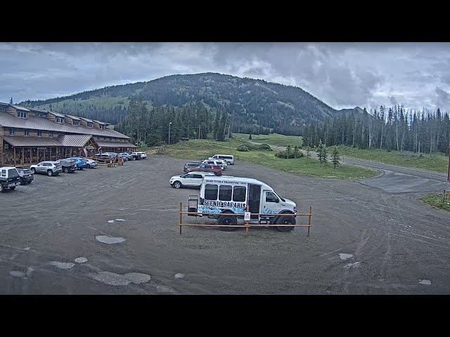 Togwotee mountain lodge live webcam 93 ford escort wagon