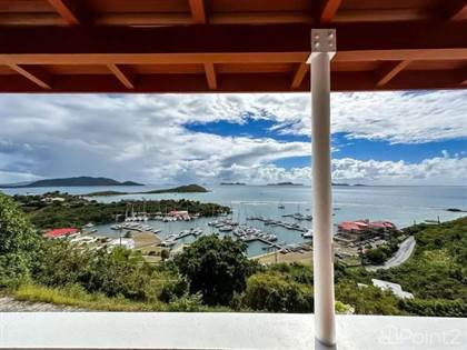 Tortola british virgin islands webcam Escorts longmont