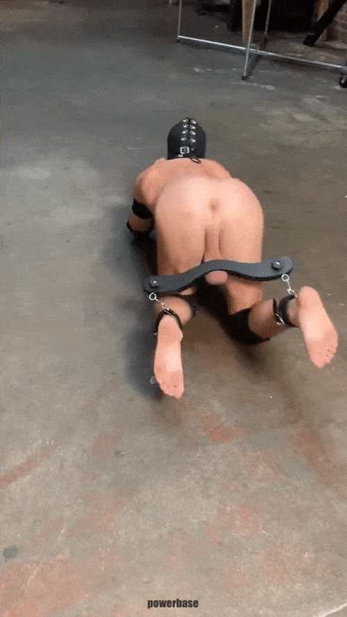 Torture porn gif Real orgy