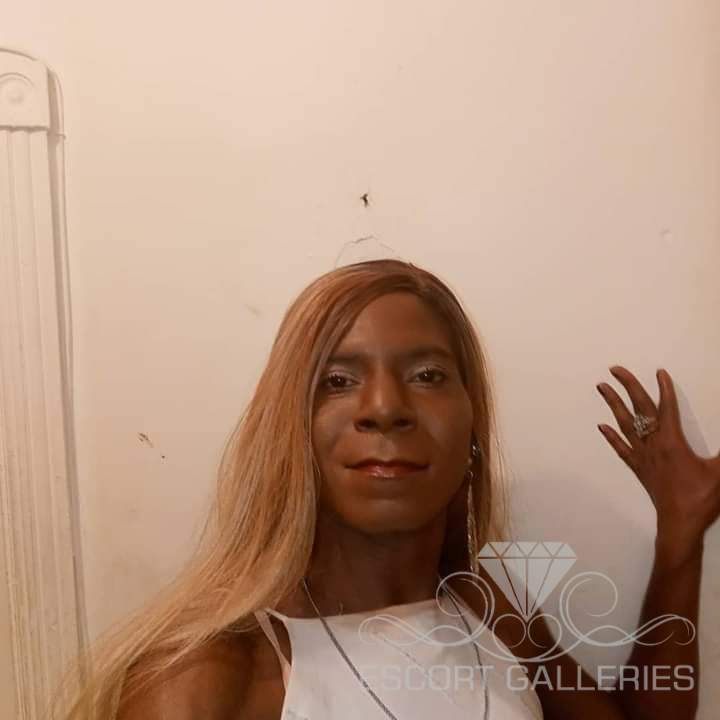 Trans escorts philadelphia Riley lew porn