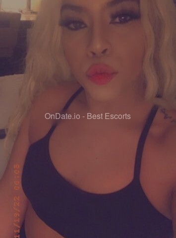 Transexual escort west palm Forced porn