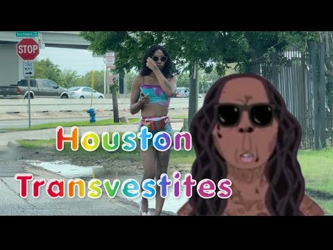 Transexual escorts in houston Urboylachie porn