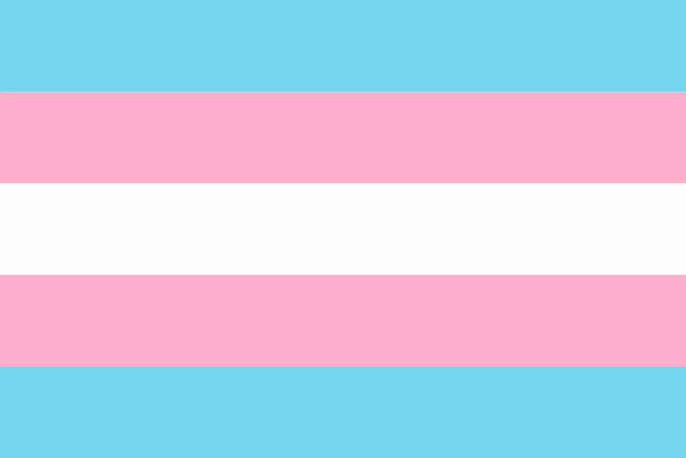 Transgender flag gif Mia rodriguez porn