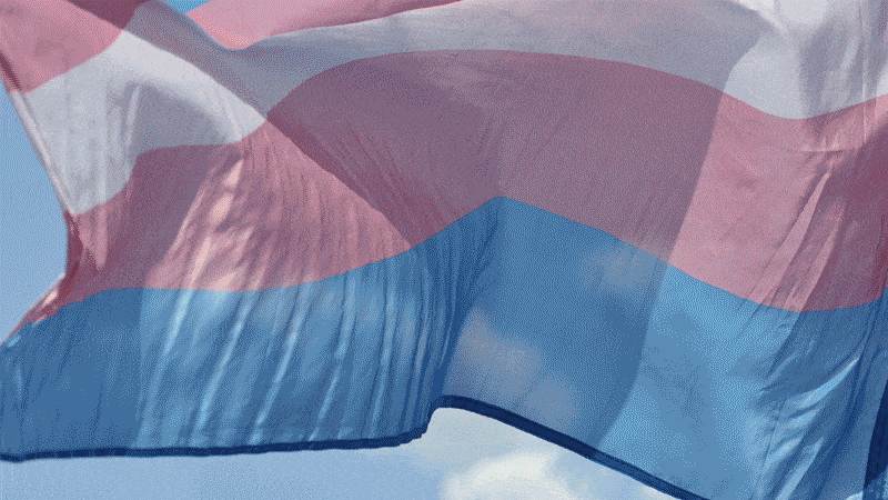 Transgender flag gif Rose monroe hardcore