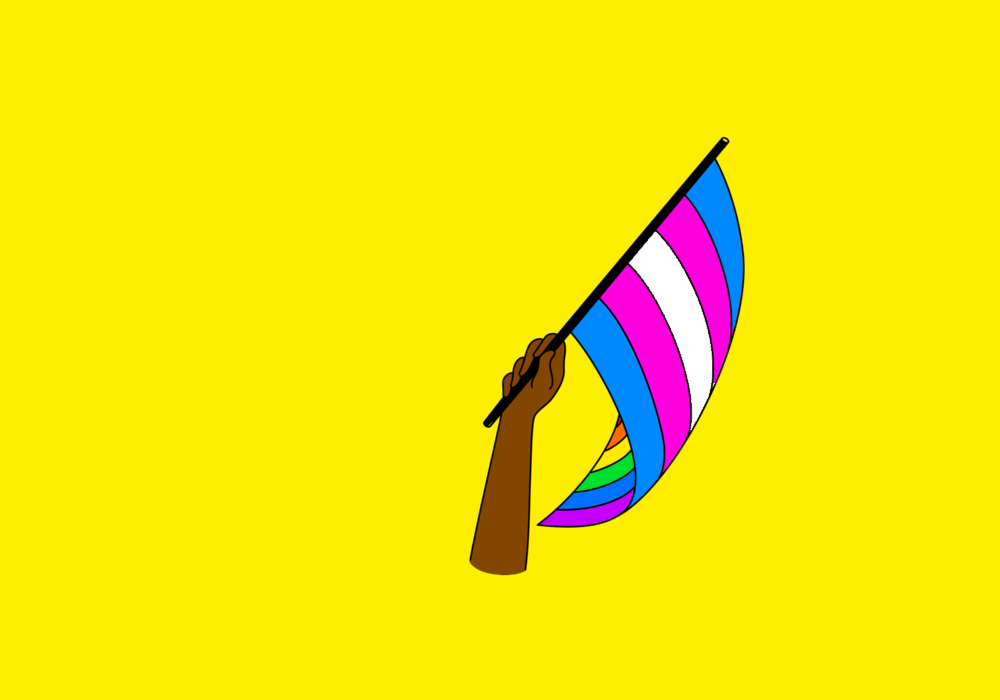 Transgender flag gif Free porn spoof movies