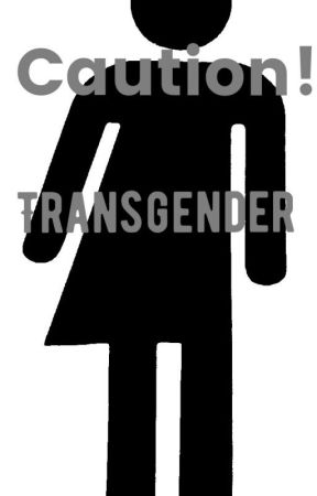 Transgender fuk Porn pinuppixie