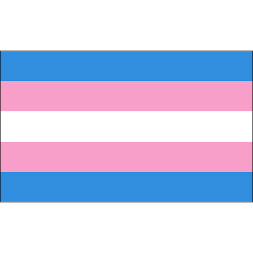 Transgender pride merchandise Keirajune xxx