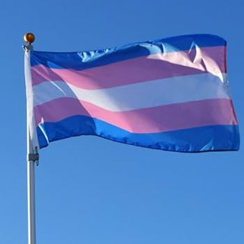 Transgender pride merchandise Concrete rose porn star