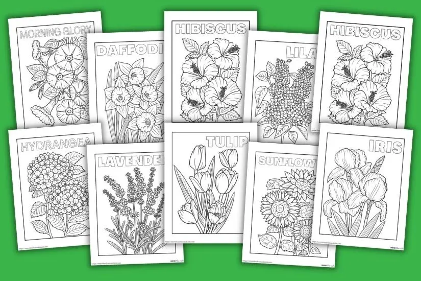 Tulip coloring pages for adults Big black pussis