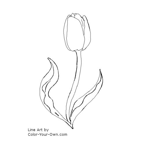 Tulip coloring pages for adults Masturbating with bottle