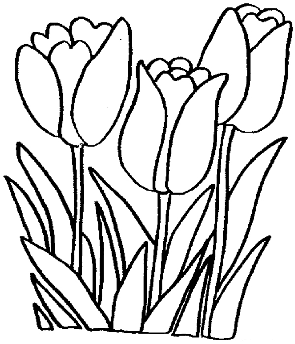 Tulip coloring pages for adults Escorts in princeton