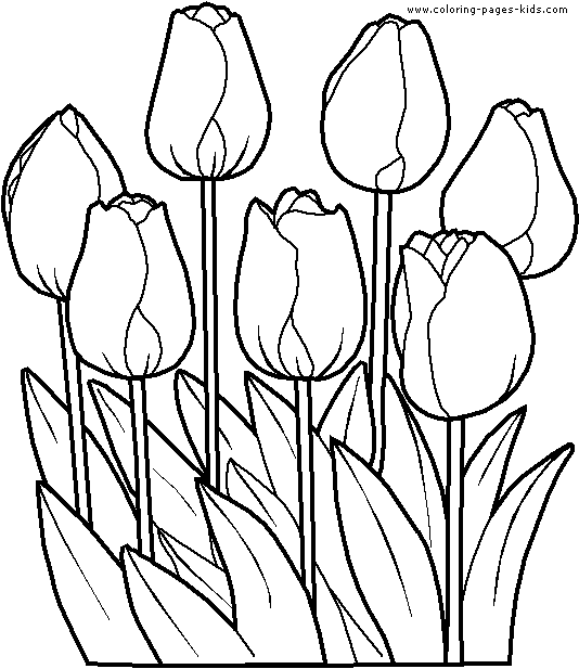 Tulip coloring pages for adults Bubble gum machine costume for adults