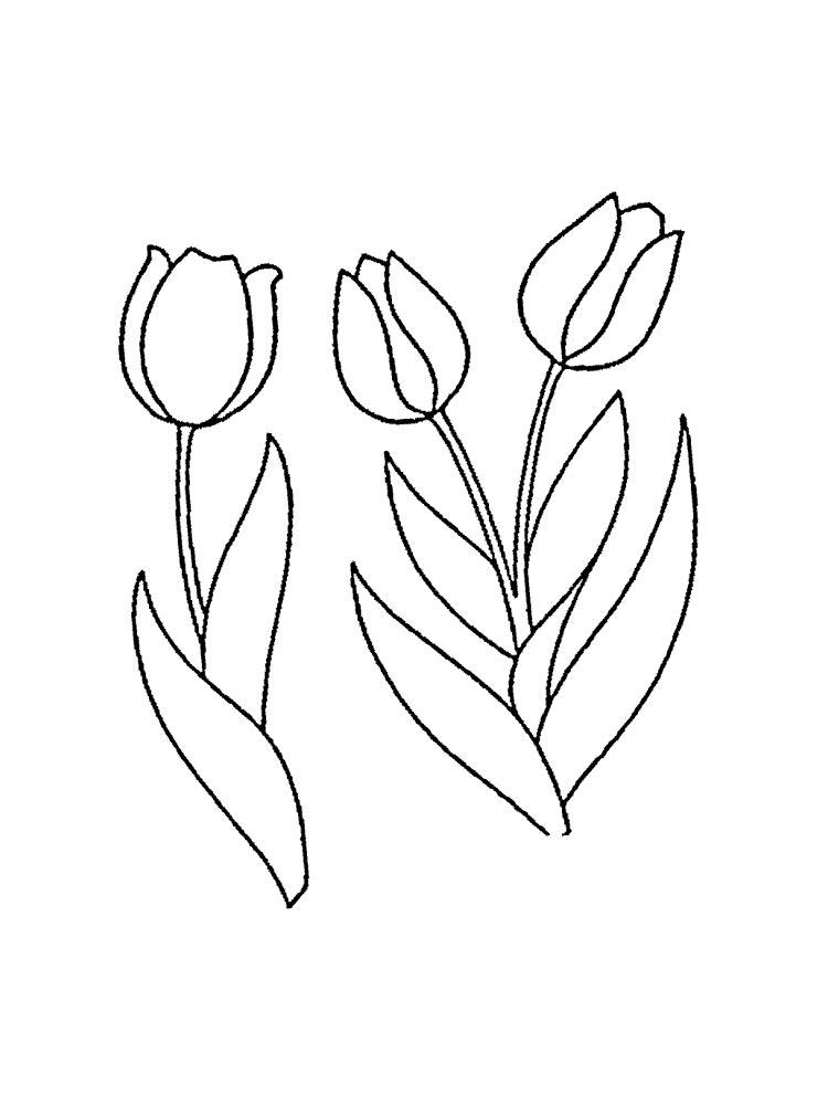Tulip coloring pages for adults Adult swim tracks