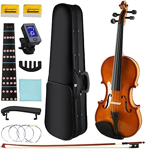 Violin for adults beginners Electronic hobbies for adults
