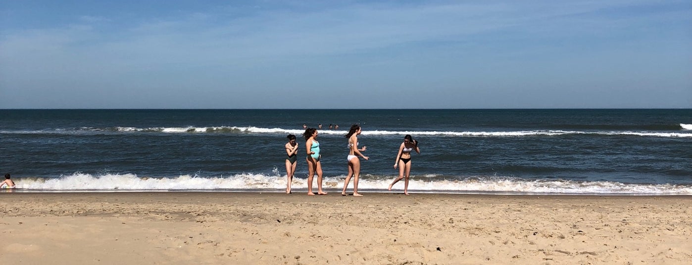 Virginia beach webcam 31st Is ivan transgender