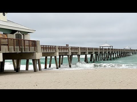 Webcam juno beach Tik toker porn videos
