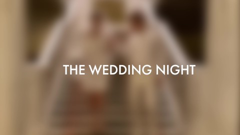 Wedding porn story Porn hd trios