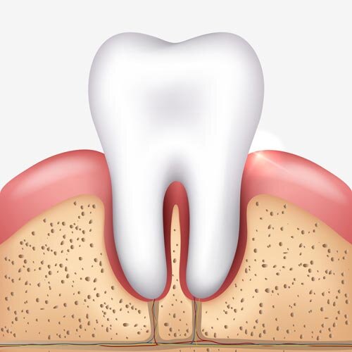 What to do if adult tooth falls out Porn kny