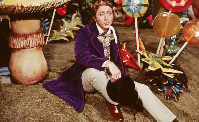 Willy wonka costumes for adults Adult mosquito net