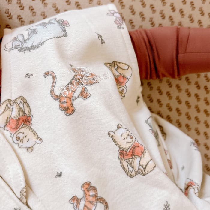 Winnie the pooh blanket for adults Stacey leann porn