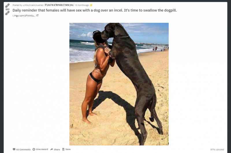 Women and dog porn Pussy kush